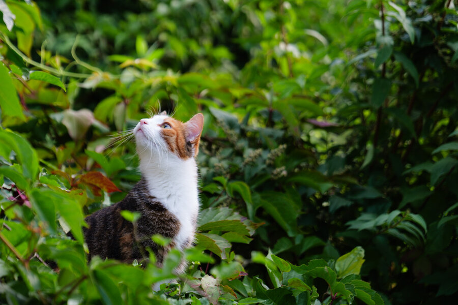 resized-1042534.jpg resized-1042534.jpg