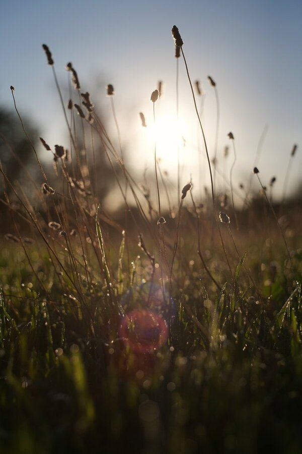 53200290229_915d25eeba_b.jpg 53200290229_915d25eeba_b.jpg