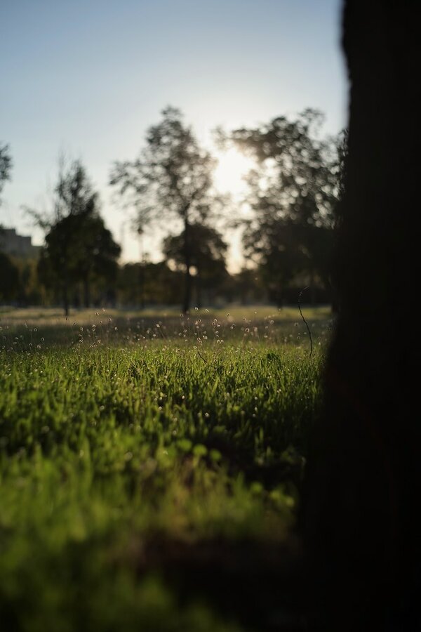 53200825095_e3554fcebf_b.jpg 53200825095_e3554fcebf_b.jpg