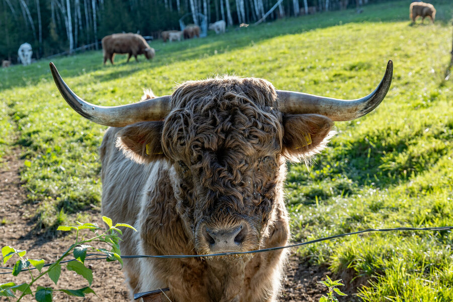 P1389924-2.jpg P1389924-2.jpg