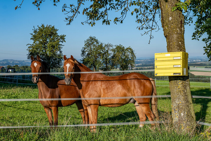 P1389911.jpg P1389911.jpg