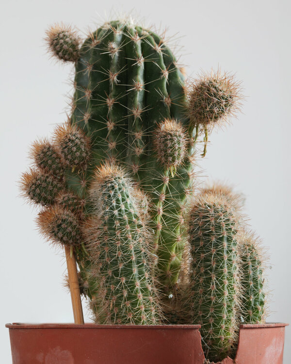 _1043302-Edit.jpg _1043302-Edit.jpg