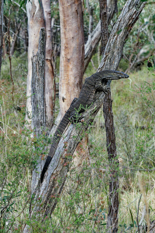 P1007296_DxO-1.jpg P1007296_DxO-1.jpg