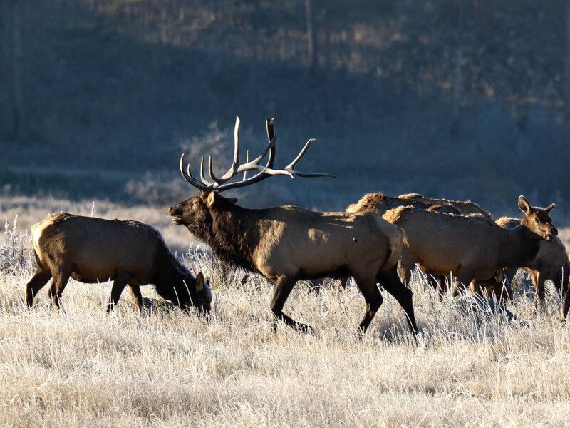 P1187767.jpg P1187767.jpg