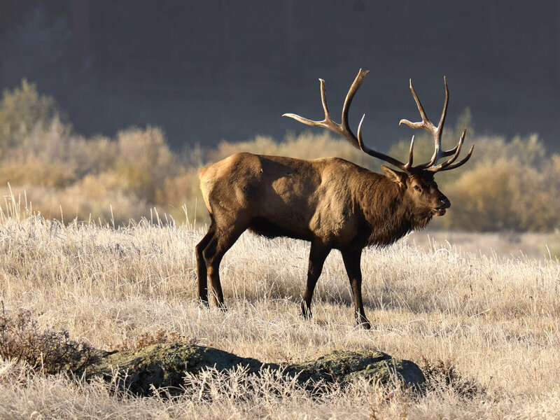 P1187845.jpg P1187845.jpg