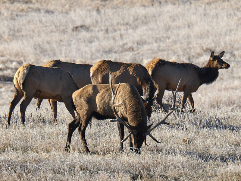 P1187889.jpg P1187889.jpg