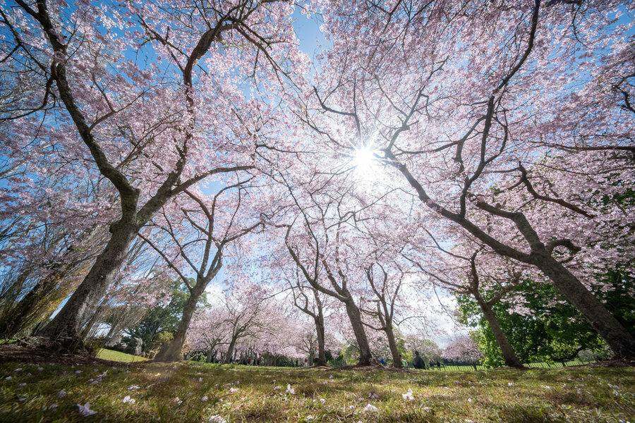 20231010-P1078887.jpg 20231010-P1078887.jpg