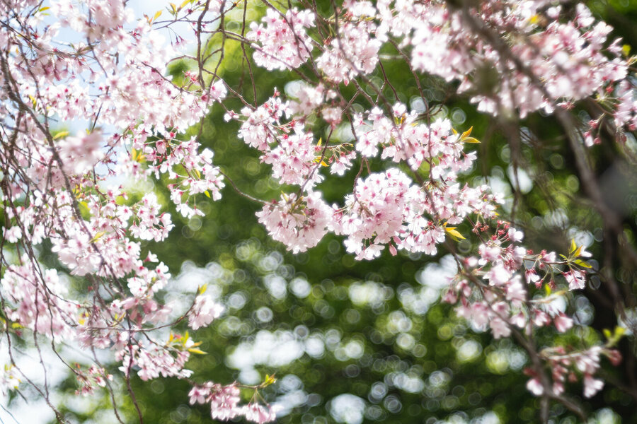 20231010-P1078920.jpg 20231010-P1078920.jpg