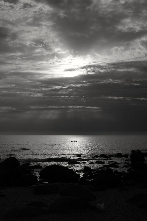 53252138965_679e57da86_b.jpg 53252138965_679e57da86_b.jpg