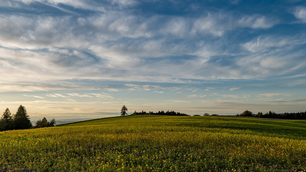 P1401564-2.jpg P1401564-2.jpg