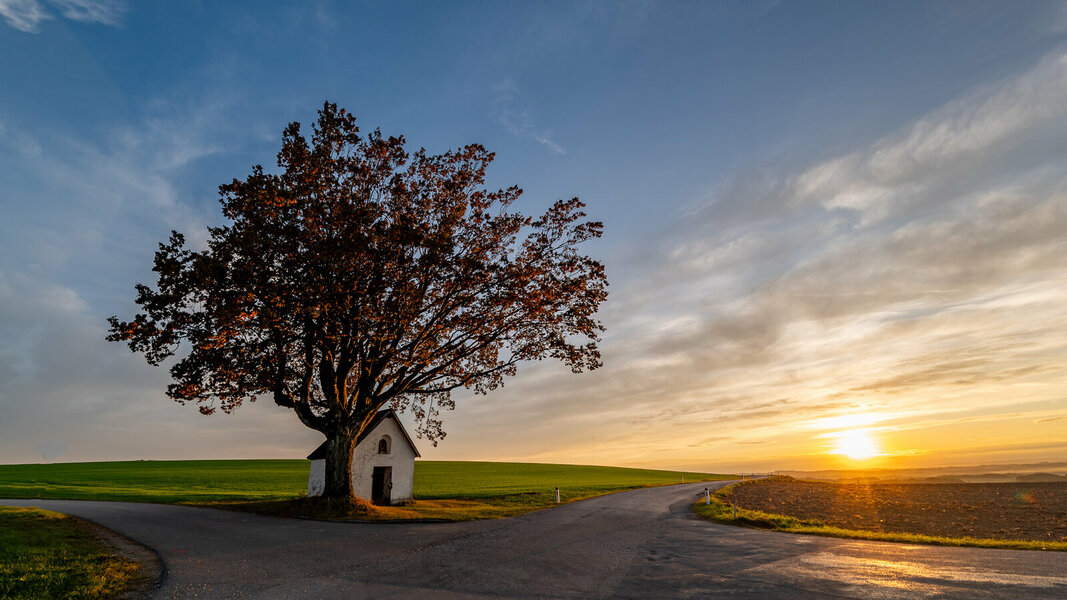 P1401577-4.jpg P1401577-4.jpg