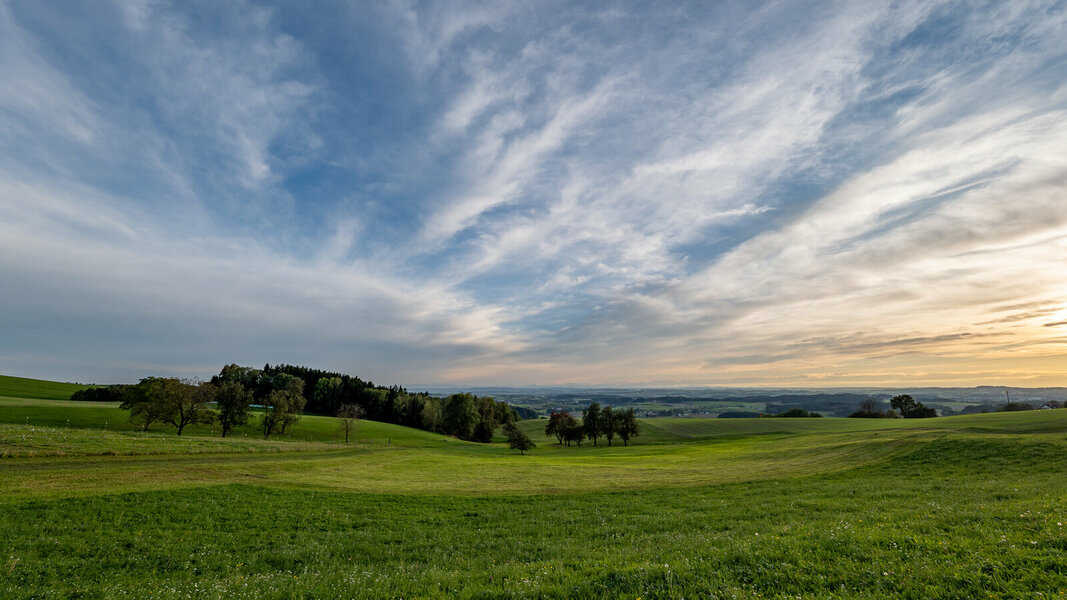 P1401562-3.jpg P1401562-3.jpg