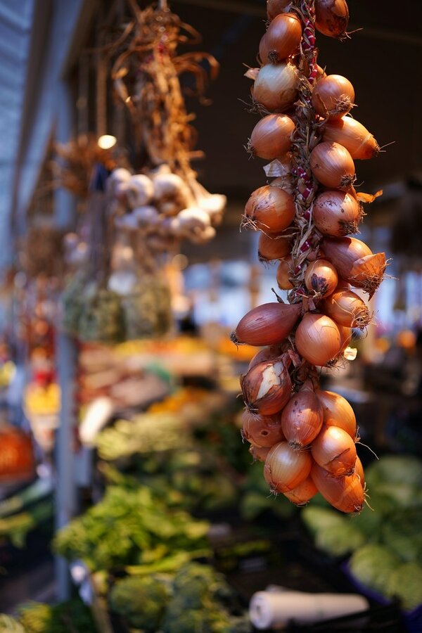 53271844391_4b10a9fc0c_b.jpg 53271844391_4b10a9fc0c_b.jpg