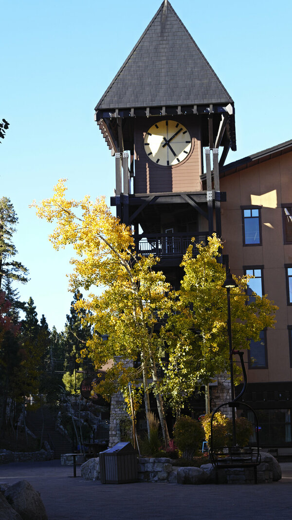 5 o'clock some where.jpg