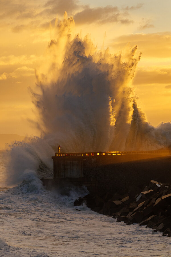 _1012913.jpg _1012913.jpg