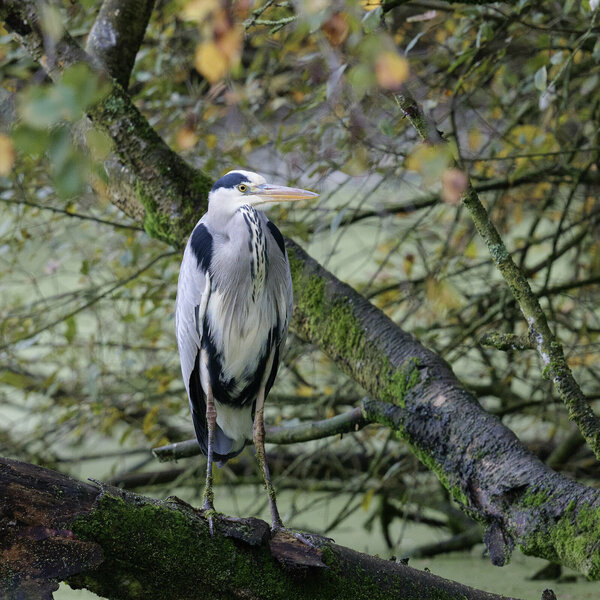 P1002487.jpg P1002487.jpg