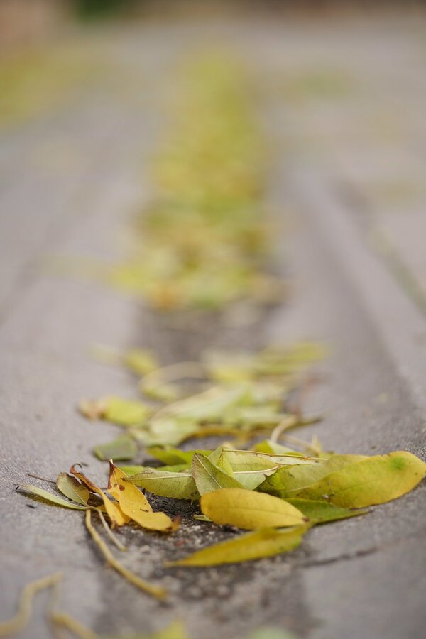 53326651586_3e9034c574_b.jpg 53326651586_3e9034c574_b.jpg