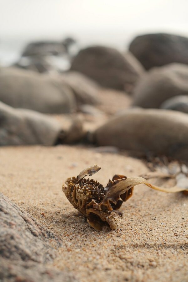 53320132791_3031754dcb_b.jpg 53320132791_3031754dcb_b.jpg