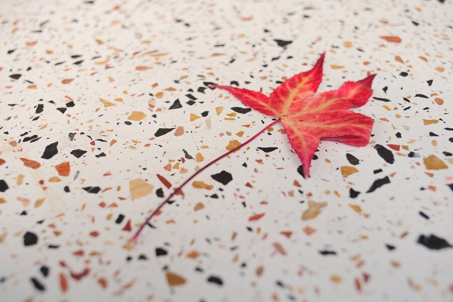 53320492434_1006d1107b_b.jpg 53320492434_1006d1107b_b.jpg