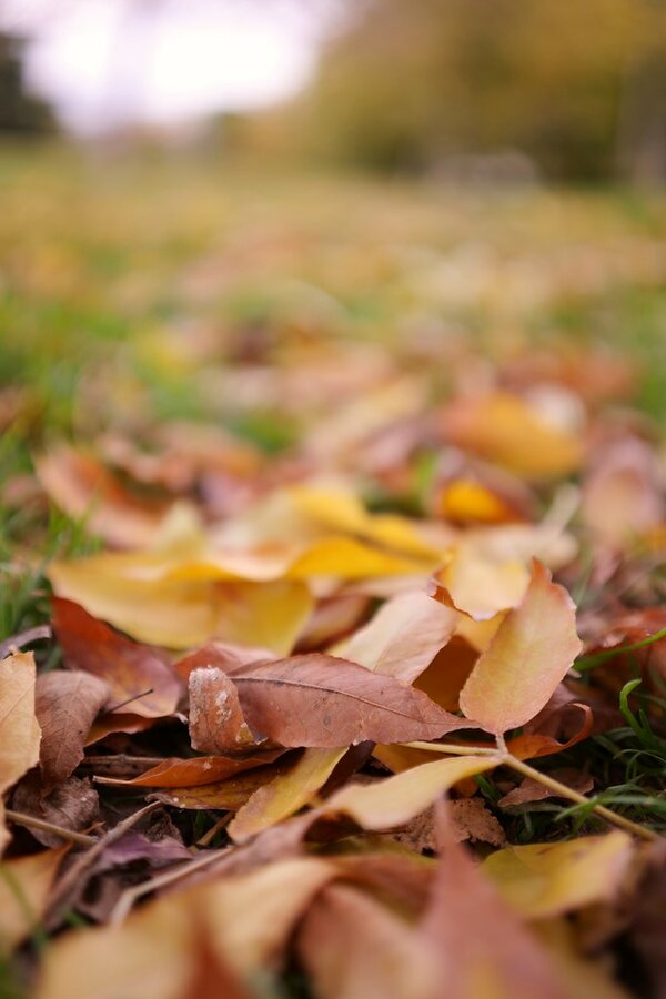 53319251112_dd8f0bba9e_b.jpg 53319251112_dd8f0bba9e_b.jpg