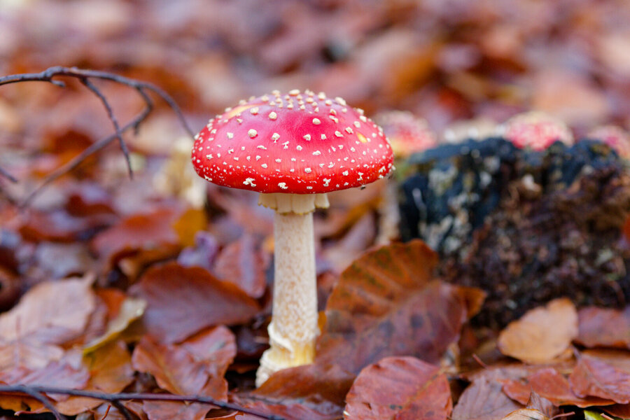 P1011051_DxO.jpeg P1011051_DxO.jpeg