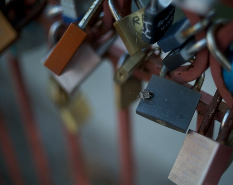 53262852442_9217a8700d_k_d.jpg 53262852442_9217a8700d_k_d.jpg