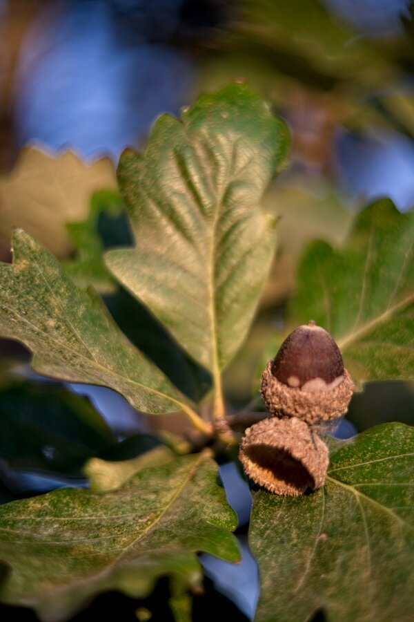 53264086679_3aad2a7106_k_d.jpg 53264086679_3aad2a7106_k_d.jpg