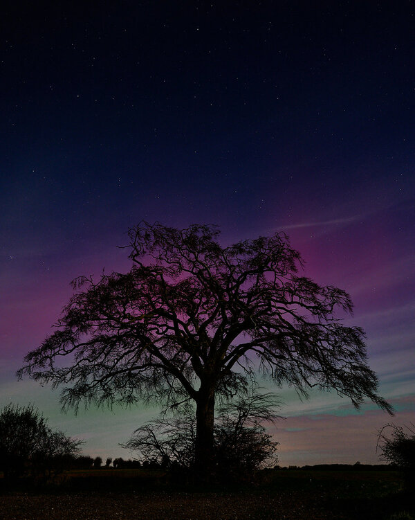 53360463983_096866c154_b.jpg 53360463983_096866c154_b.jpg