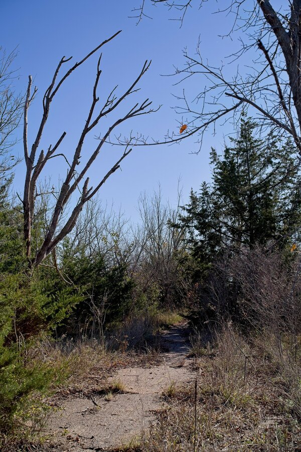 53333237578_3afc40ba61_k_d.jpg 53333237578_3afc40ba61_k_d.jpg