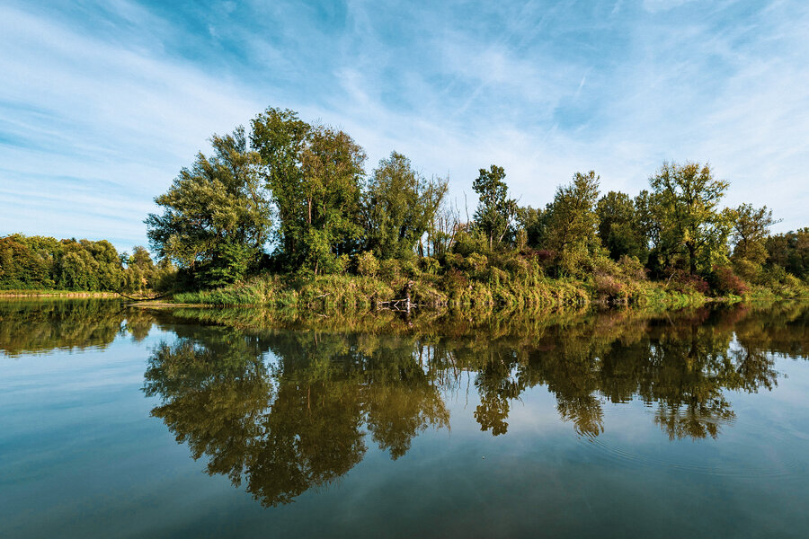 P1078368 (1).jpg P1078368 (1).jpg