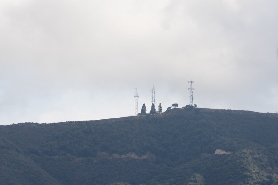 P1000117.jpg P1000117.jpg