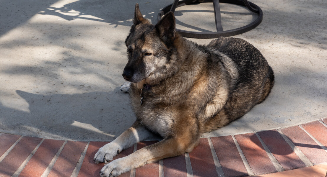 P1000144.jpg P1000144.jpg