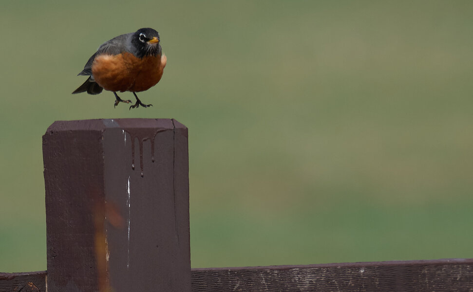 i-DnGdxcK-X2.jpg i-DnGdxcK-X2.jpg