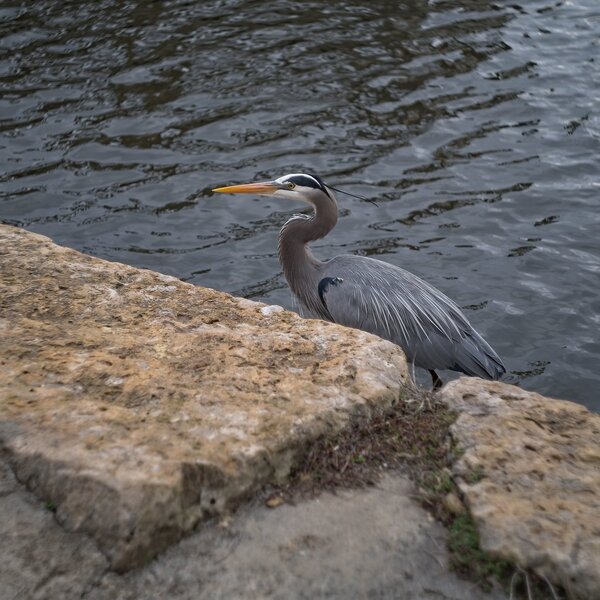 54433052819_712ca5b66c_b.jpg 54433052819_712ca5b66c_b.jpg