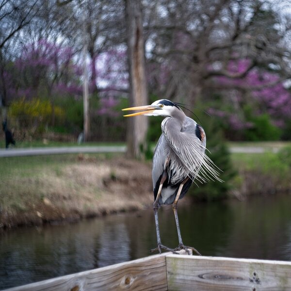 54432858506_fb057f1aa5_b.jpg 54432858506_fb057f1aa5_b.jpg