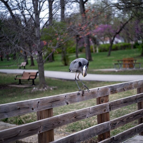 54433235635_685af1ea89_b.jpg 54433235635_685af1ea89_b.jpg