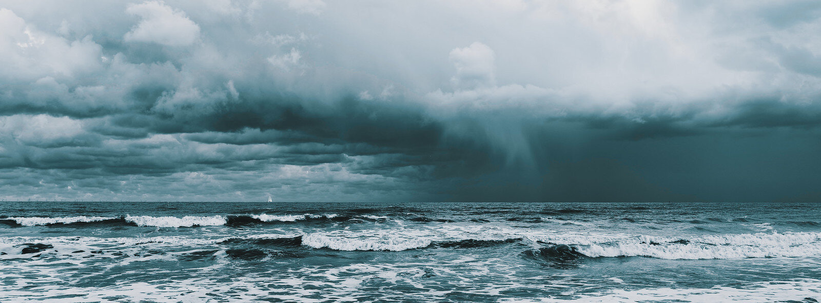 54439458191_137204c080_h.jpg 54439458191_137204c080_h.jpg