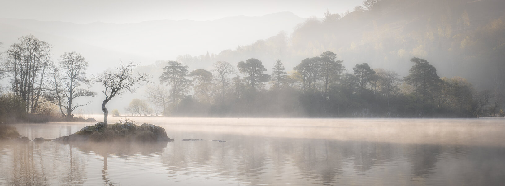 54442862737_8c8c1b9a2a_o.jpg 54442862737_8c8c1b9a2a_o.jpg