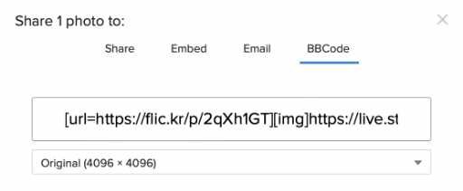 FlickrScreenshot.jpg FlickrScreenshot.jpg