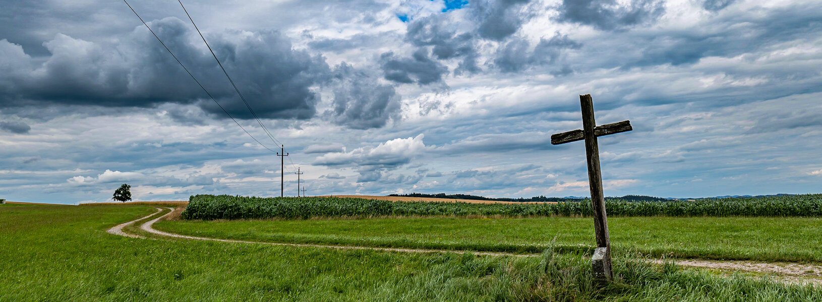 P1000566 (1).jpg P1000566 (1).jpg