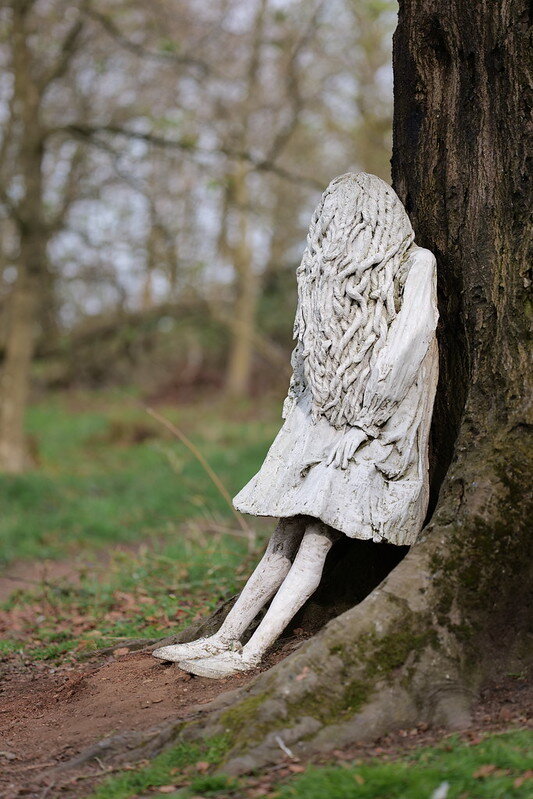 54462639116_c4231cea4d_c.jpg 54462639116_c4231cea4d_c.jpg