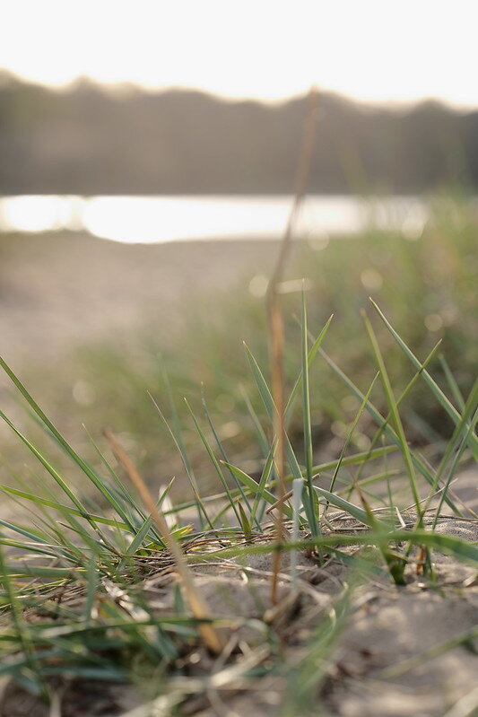 54444106800_cf4e9f6f4f_c.jpg 54444106800_cf4e9f6f4f_c.jpg