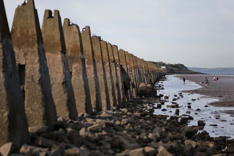 54444109940_f9522c0485_c.jpg 54444109940_f9522c0485_c.jpg