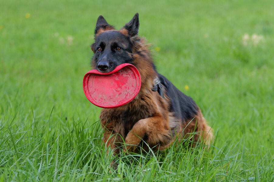 54472916642_dc094463ac_k.jpg 54472916642_dc094463ac_k.jpg