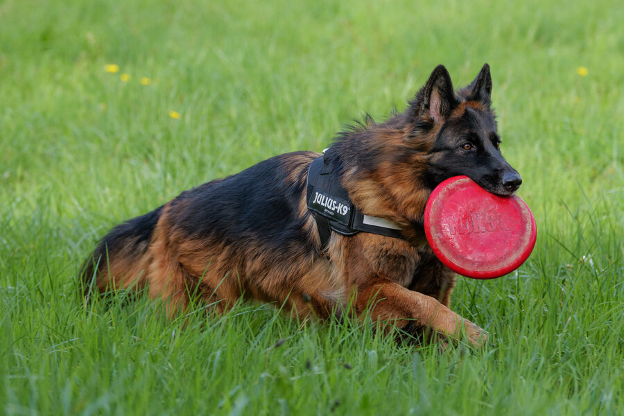 54474029718_e7825c2f7f_k.jpg 54474029718_e7825c2f7f_k.jpg