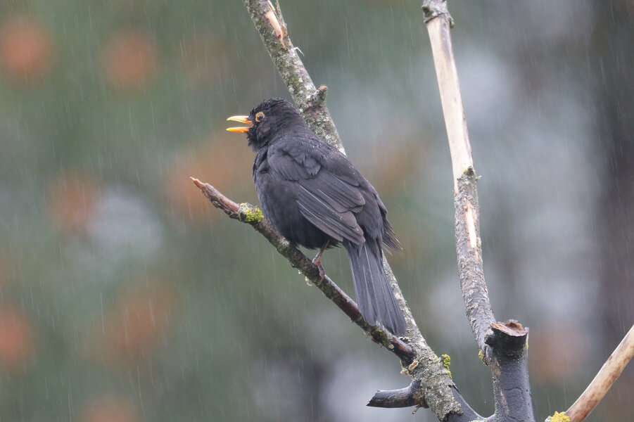 54473333771_7deb05215c_k.jpg 54473333771_7deb05215c_k.jpg