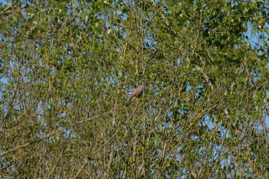 54474051493_b76b259289_k.jpg 54474051493_b76b259289_k.jpg