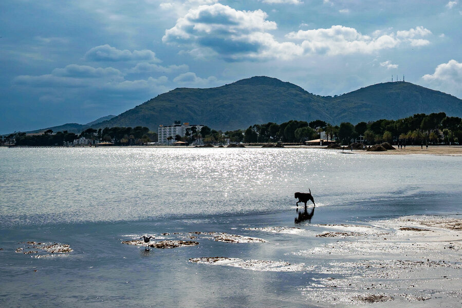 DSC_1614.jpg DSC_1614.jpg