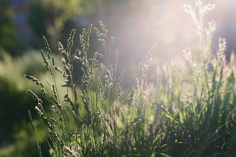 54477377517_28b0388831_c.jpg 54477377517_28b0388831_c.jpg