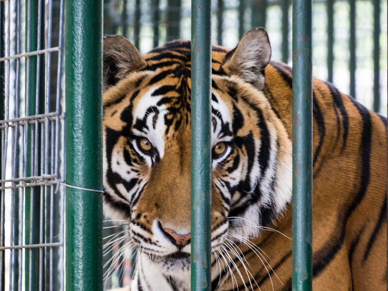 20275071666_6c8acdd9a9_b.jpg 20275071666_6c8acdd9a9_b.jpg